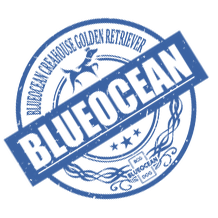 Blue Ocean Online Shop